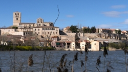 (2016-04) -34- Zamora (Espagne)